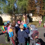 phoca_thumb_m_v zmeck 42 Fotogalerie